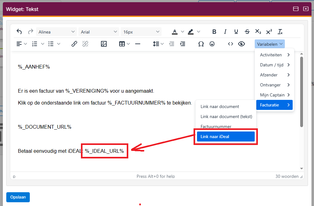 online-betalen-ideallink-02 online-betalen-ideallink-02
