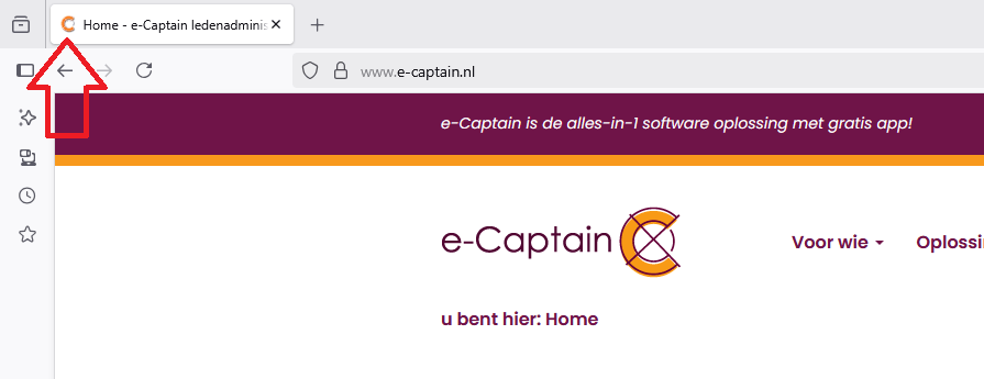 websitebeheer-pagina-icoon-01