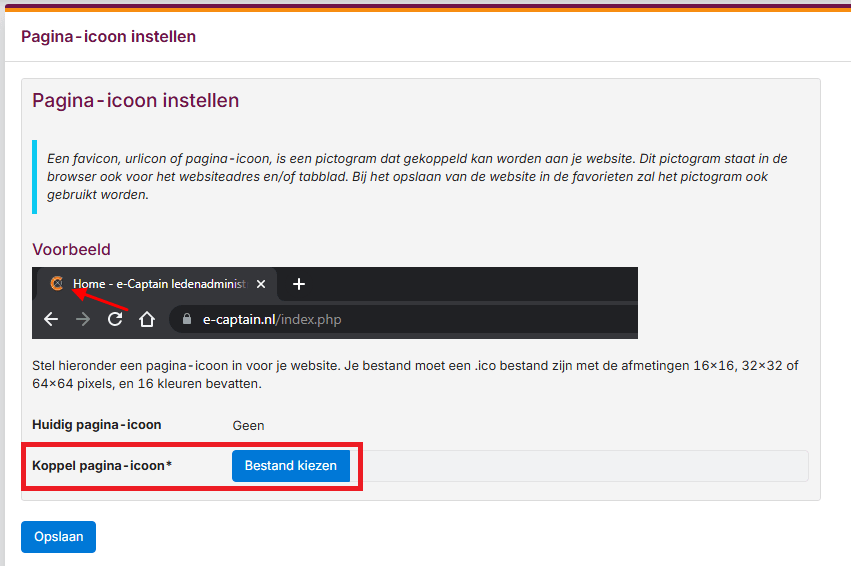 websitebeheer-pagina-icoon-03