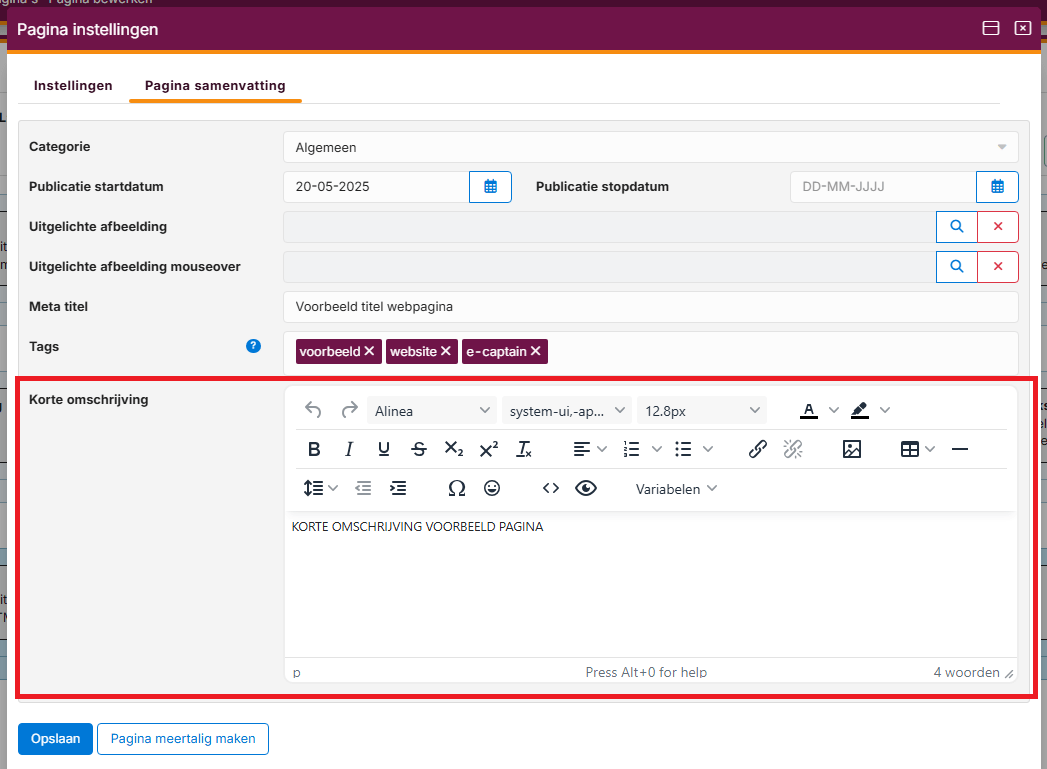 websitebeheer-seo-opties-03