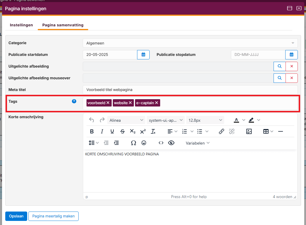 websitebeheer-seo-opties-04