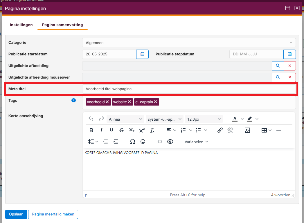 websitebeheer-seo-opties-05
